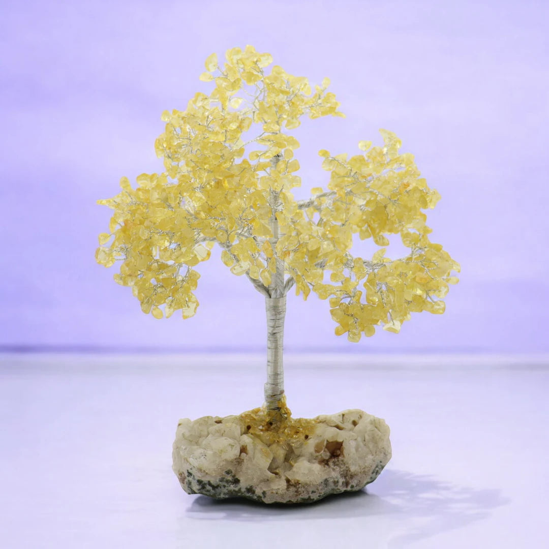 Crystal Trees - In The Cavern