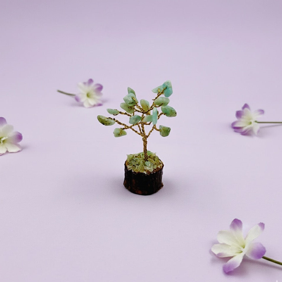 Mini Amazonite Crystal Tree - In The Cavern