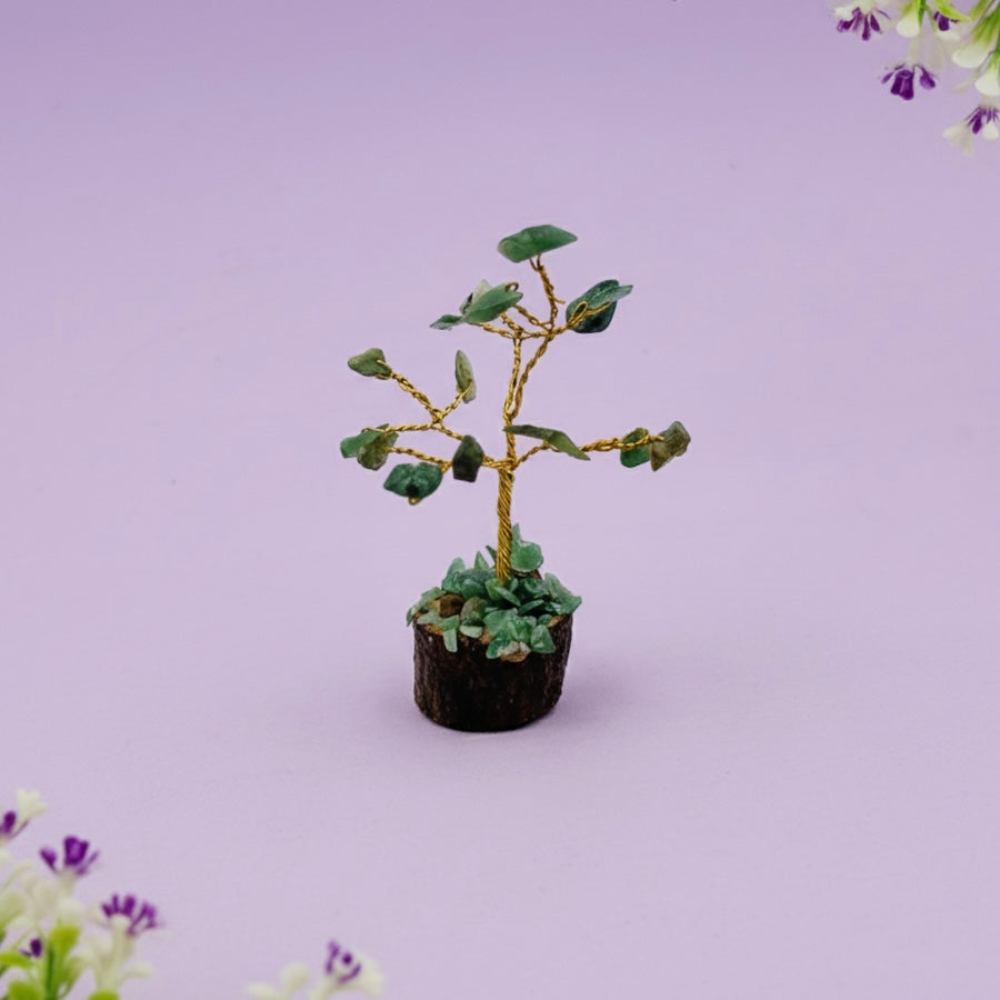 Mini Green Jade Tree - In The Cavern