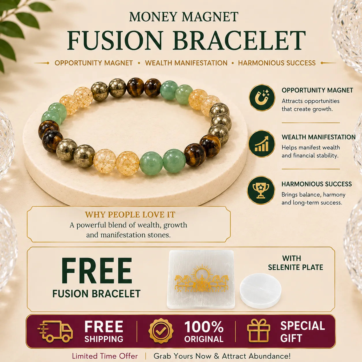 Dhan Magnet Fusion Bracelet